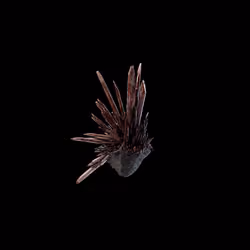 OG:Crystal 7778