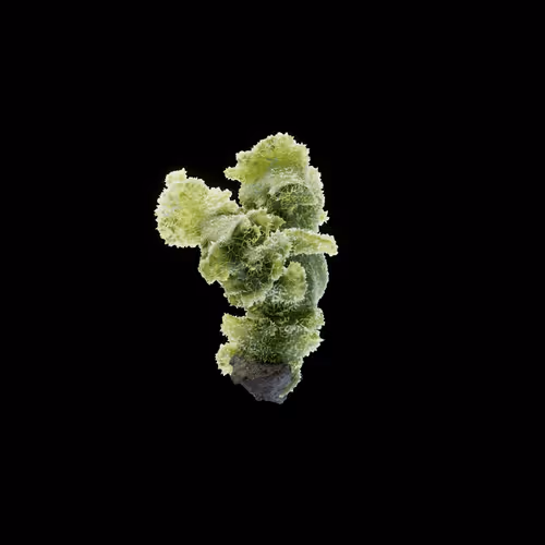OG:Crystal 4037