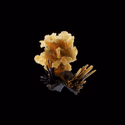 OG:Crystal 10259