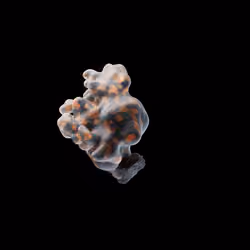 OG:Crystal 3966