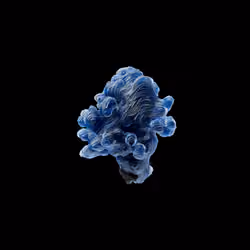 OG:Crystal 1536