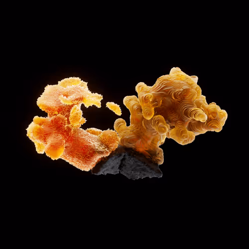 Og Crystals