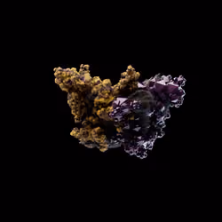 OG:Crystal 8569