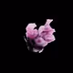 5645