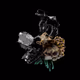 2599