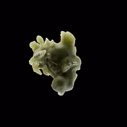 OG:Crystal 6695