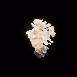 OG:Crystal 8393