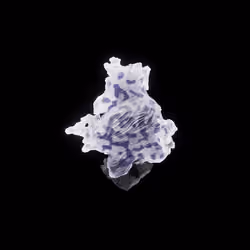 OG:Crystal 4656