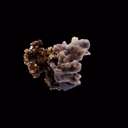 OG:Crystal 9056