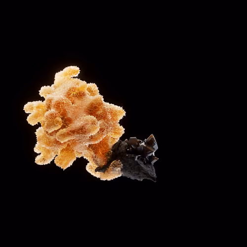 OG:Crystal 5188