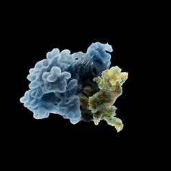 OG:Crystal 5393