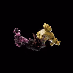 OG:Crystal 6835