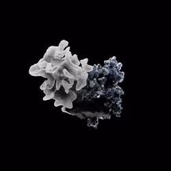OG:Crystal 260