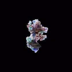 OG:Crystal 3192