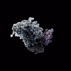 OG:Crystal 5629