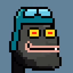ROCK-PFP #708