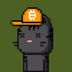 CityRabbit# 5076