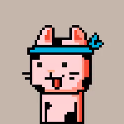 CityRabbit# 3346