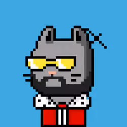 CityRabbit# 5025