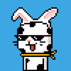 CityRabbit# 684