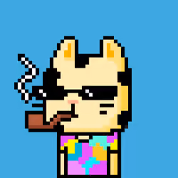 CityRabbit# 2733