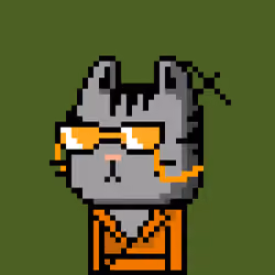 CityRabbit# 2734