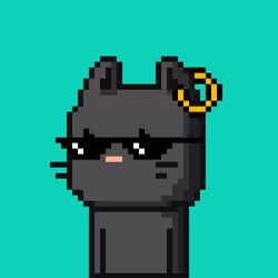 CityRabbit# 5053