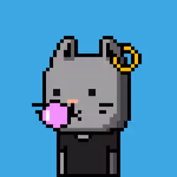 CityRabbit# 4448