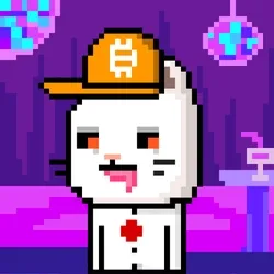 CityRabbit# 2175