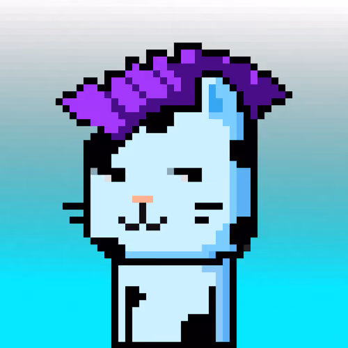 CityRabbit# 5084
