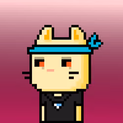 CityRabbit# 4441