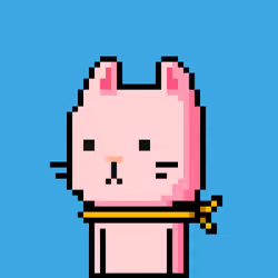 CityRabbit# 4870