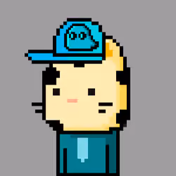 CityRabbit# 961