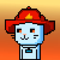 CityRabbit# 4087