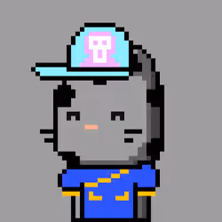 CityRabbit# 4993