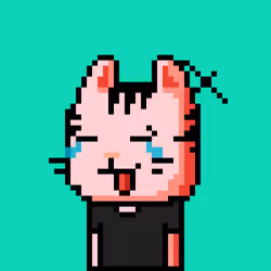 CityRabbit# 964