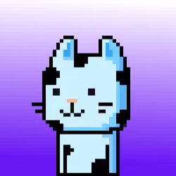 CityRabbit# 3355