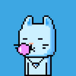 CityRabbit# 5050