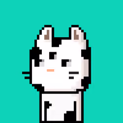 CityRabbit# 4560