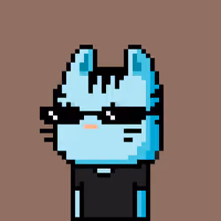 CityRabbit# 5073