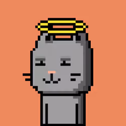 CityRabbit# 4937