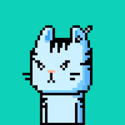 CityRabbit# 3343