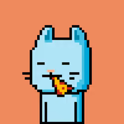 CityRabbit# 4355