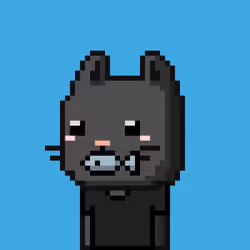 CityRabbit# 3492