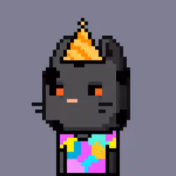 CityRabbit# 685