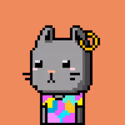 CityRabbit# 4516