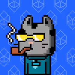 CityRabbit# 3211