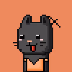 CityRabbit# 2136