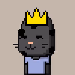 CityRabbit# 4443