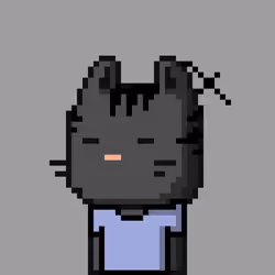 CityRabbit# 3048